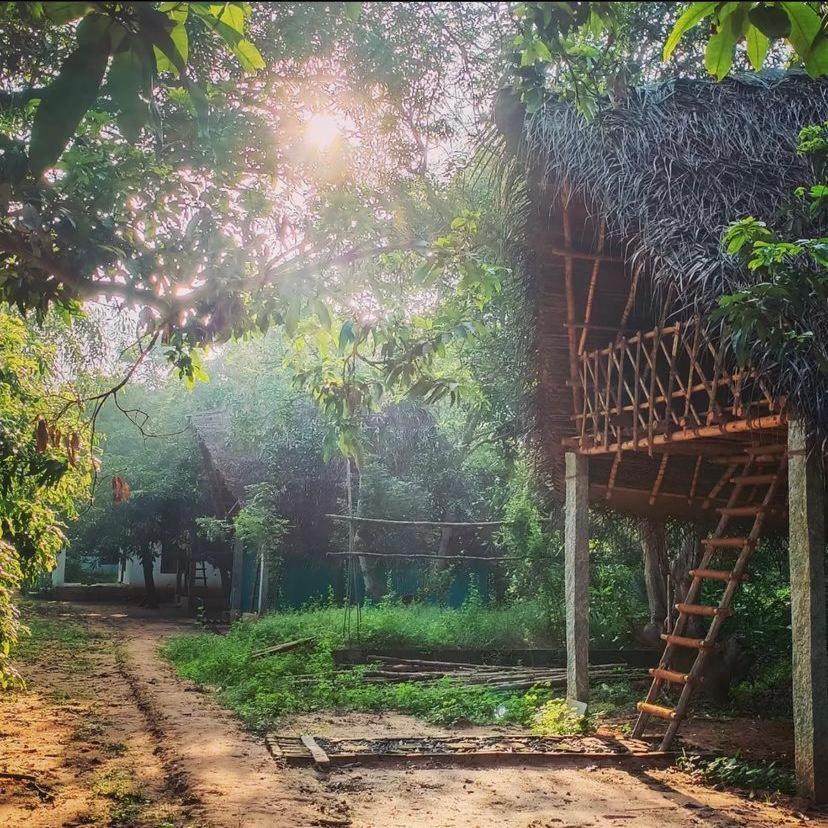 Art Forest Pondichéry Extérieur photo