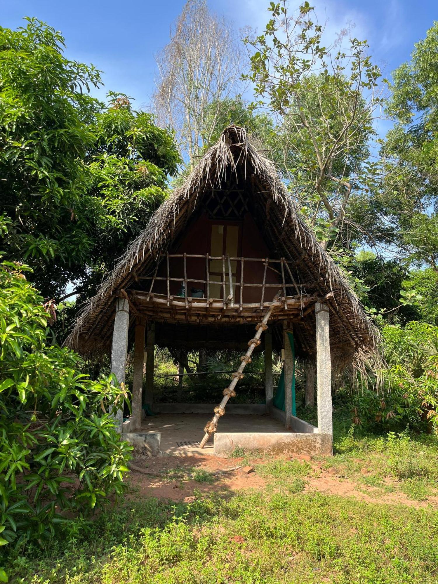 Art Forest Pondichéry Extérieur photo