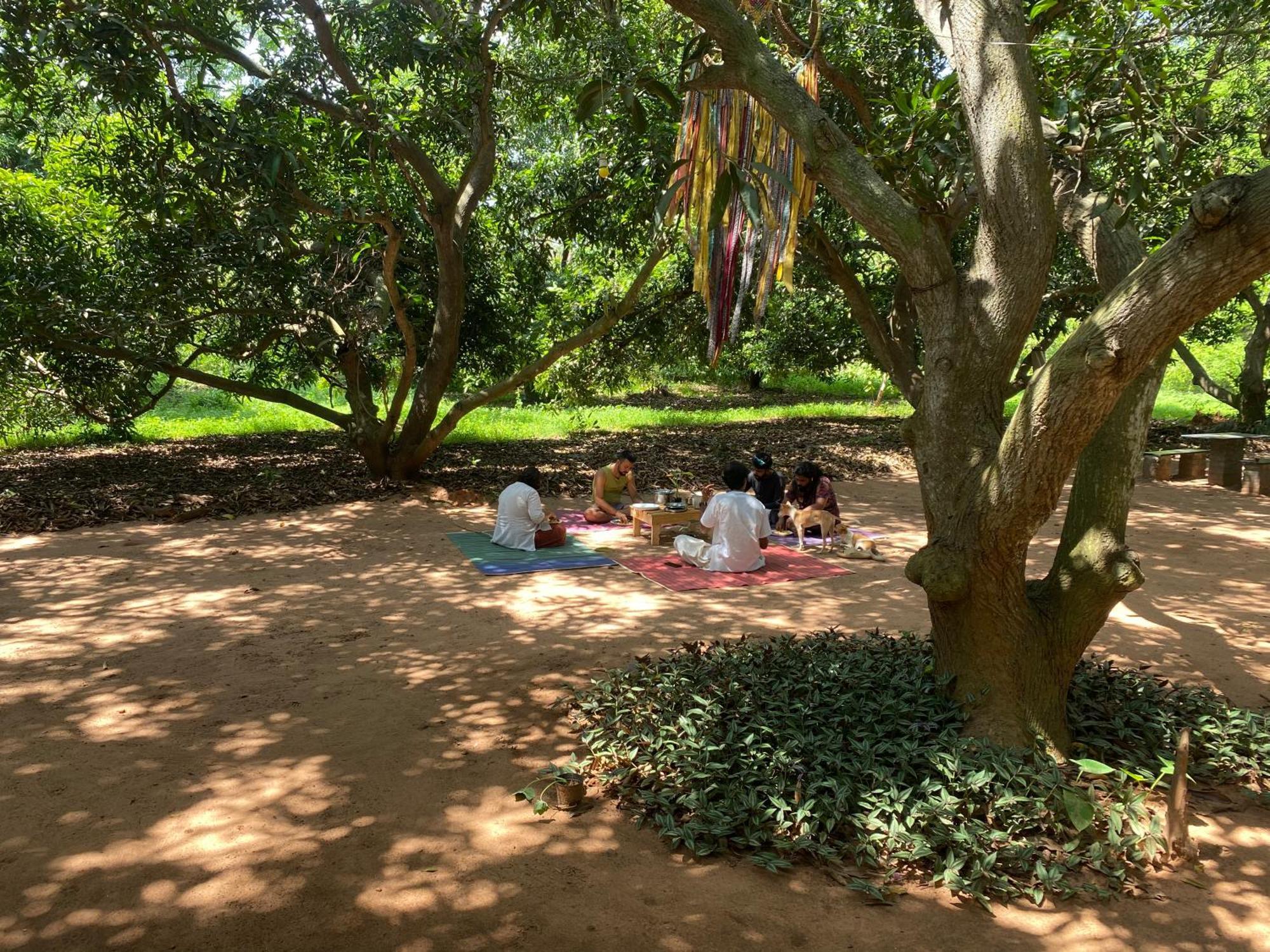 Art Forest Pondichéry Extérieur photo